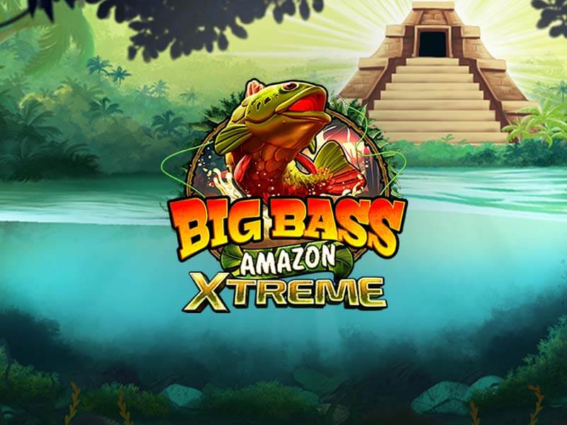 Dealer Amazona Bia
