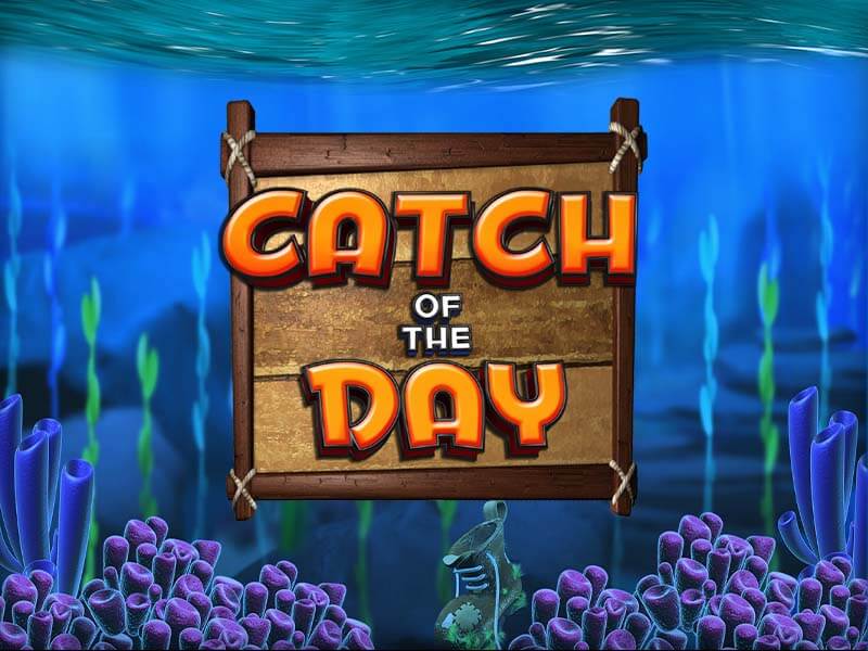 Catch of the Day Slot